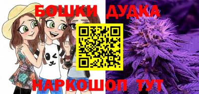 mdpv Лесосибирск