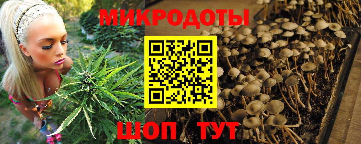 Камышин  Псилоцибиновые грибы ЛСД  Вход с VPN 